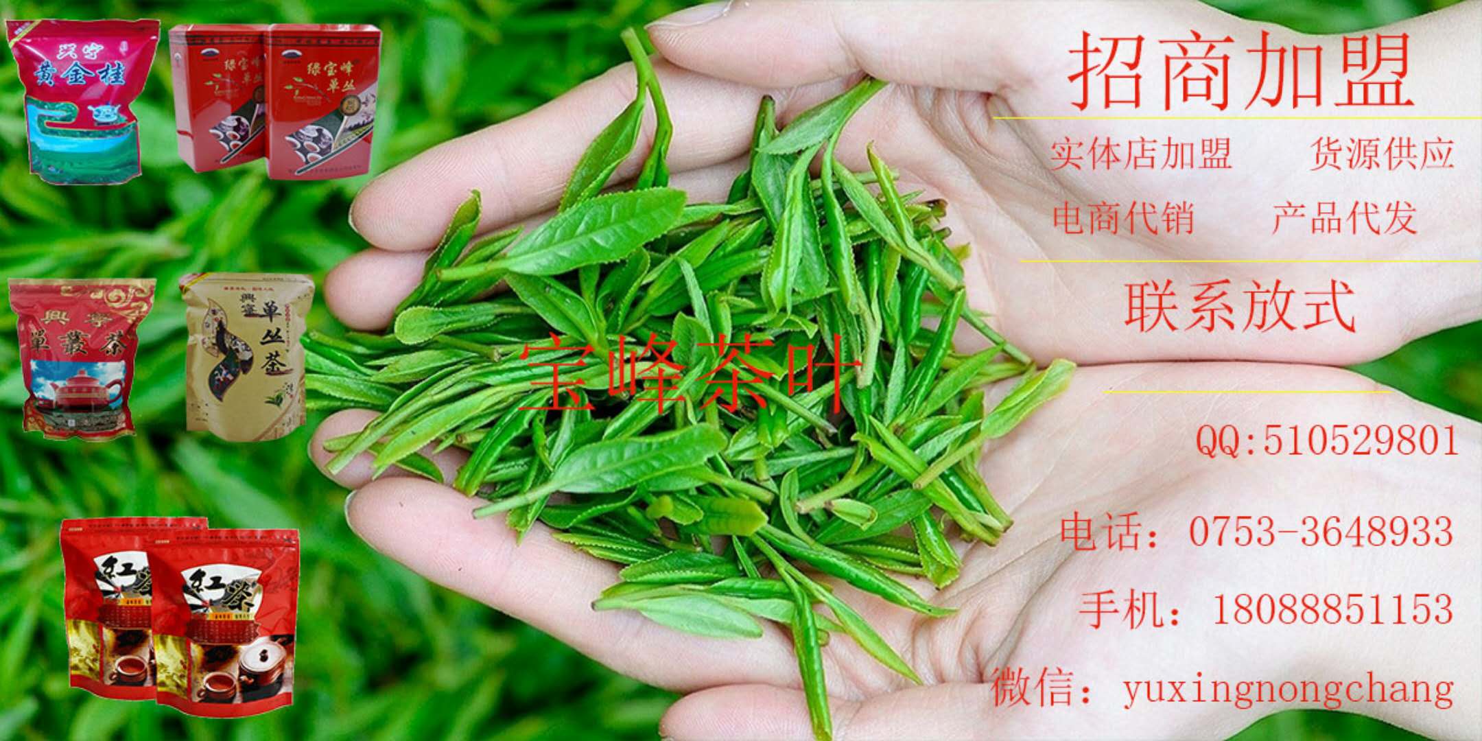 ˾ɹsdЌ~NֲI(y)硪W(wng)վO(sh)(w)